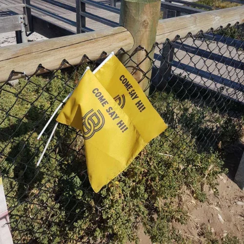 Befriend flag in the ground